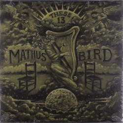 Виниловая пластинка Jimbo Mathus &amp; Andrew Bird - These 13