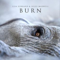 Виниловая пластинка Lisa Gerrard - Burn