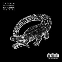 Виниловая пластинка Catfish And The Bottlemen - The Ride