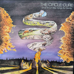 Виниловая пластинка Feature Film - The Circle Cure. Small Brown Bike Songs By Friends