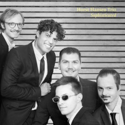 Виниловая пластинка Horst Hansen Trio - Sophisticated