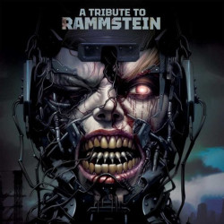 Виниловая пластинка Various Artists - A Tribute To Rammstein (полупрозрачный красный винил)