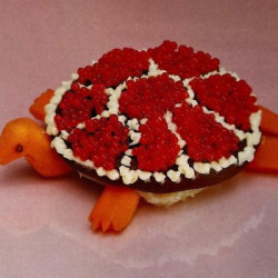 Виниловая пластинка Sharp Pins - Turtle Rock