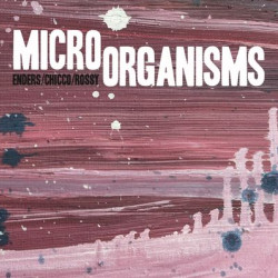 Виниловая пластинка Johannes Enders, Renato Chicco &amp; Jorge Rossy - Micro Organisms