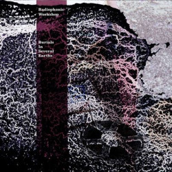 Виниловая пластинка The Radiophonic Workshop - Burials In Several Earths