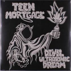 Виниловая пластинка Teen Mortgage - Devil Ultrasonic Dream