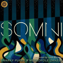 Виниловая пластинка Snarky Puppy - Somni