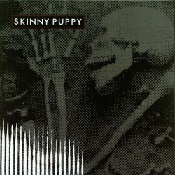 Виниловая пластинка Skinny Puppy - Remission (150 Gram)