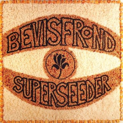 Виниловая пластинка The Bevis Frond - Superseeder