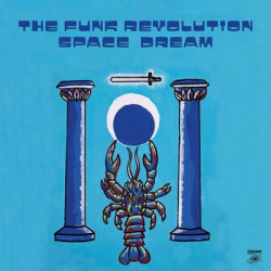 Виниловая пластинка The Funk Revolution - Space Dream