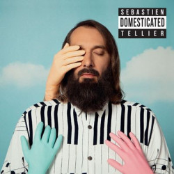Виниловая пластинка Sébastien Tellier - Domesticated