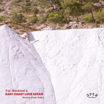 Виниловая пластинка East Coast Love Affair - Musica Para Todos