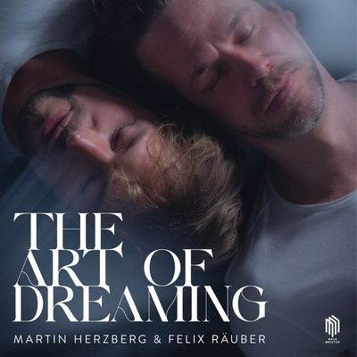 Виниловая пластинка Felix Räuber Martin Herzberg - The Art of Dreaming
