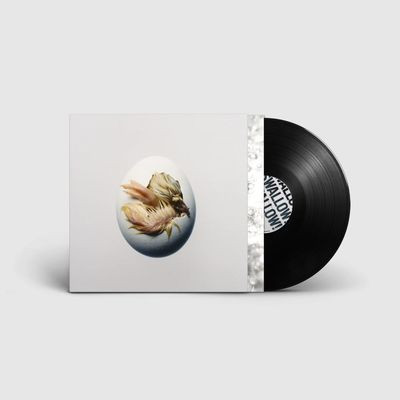 Виниловая пластинка Shygirl - Swallow (LP)