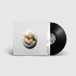 Виниловая пластинка Shygirl - Swallow (LP)