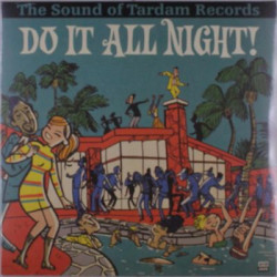 Виниловая пластинка Various Artists - Do It All Night - The Sound Of Tardam Records