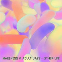 Виниловая пластинка Makeness &amp; Adult Jazz - Other Life