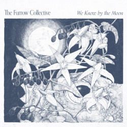 Виниловая пластинка The Furrow Collective - We Know by the Moon