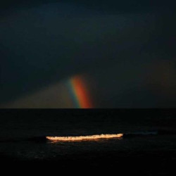 Виниловая пластинка Electric Litany - Under A Common Sky (Colourd Vinyl)