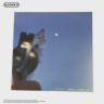 Виниловая пластинка США Geese - Getting Killed (LP) Clear