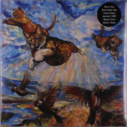 Виниловая пластинка Have You Ever Seen The Jane Fonda Aerobic VHS? - Maine Coon (Black Vinyl)
