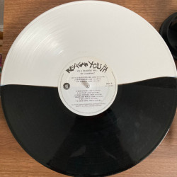 Виниловая пластинка Reagan Youth - It’s A Beautiful Day… For A Matinee!