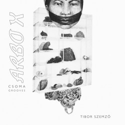 Виниловая пластинка Tibor Szemzo - Arbo X
