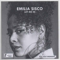 Виниловая пластинка Cold Diamond &amp; Mink &amp; Emilia Sisco - Let Me In