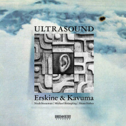 Виниловая пластинка Theo Erskine &amp; Mark Kavuma - Ultrasound