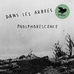 Виниловая пластинка Dans Les Arbres - Phosphorescence