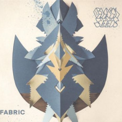Виниловая пластинка Black Seeds The - Fabric