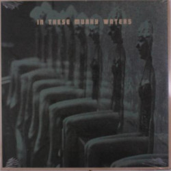 Виниловая пластинка In These Murky Waters - In These Murky Waters