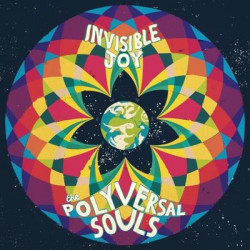 Виниловая пластинка The Polyversal Souls - Invisible Joy