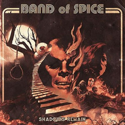 Виниловая пластинка Band Of Spice - Shadows Remain