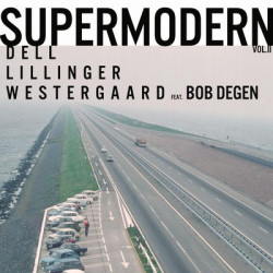 Виниловая пластинка Christopher Dell, Christian Lillinger, Jonas Westergaard, Bob Degen - Supermodern Vol. 2
