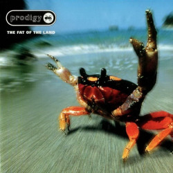 Виниловая пластинка The Prodigy - The Fat Of The Land (2LP)
