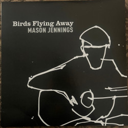 Виниловая пластинка Mason Jennings - Birds Flying Away
