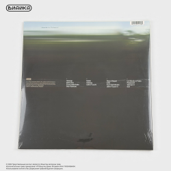 Виниловая пластинка Ludovico Einaudi - Eden Roc (2LP) цветной винил