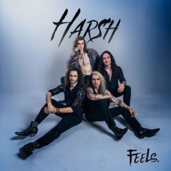 Harsh - Feels (LP)