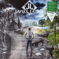 Виниловая пластинка Labrie, James - Beautiful Shade Of Grey