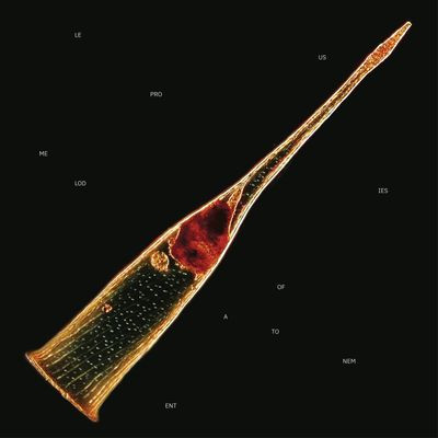 Виниловая пластинка Leprous - Melodies Of Atonement (Ltd Transparent Red 2Lp)