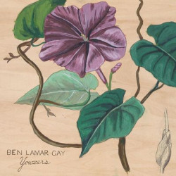 Виниловая пластинка Ben Lamar Gay - Yowsers