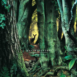 Виниловая пластинка David Sylvian - Manafon (2LP)
