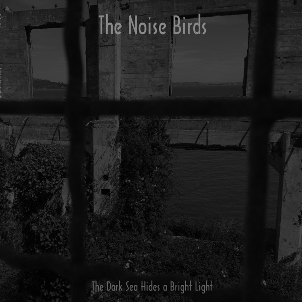 Виниловая пластинка Noise Birds The - Dark Sea Hides A Bright Li Th