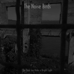 Виниловая пластинка Noise Birds The - Dark Sea Hides A Bright Li Th