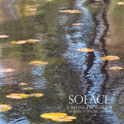 Виниловая пластинка Cronholm/Norrbotten Big Band - Solace