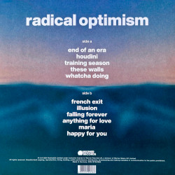 Виниловая пластинка Dua Lipa - Radical Optimism (LP) Blue &amp; White Split