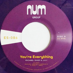 Виниловая пластинка Michael A. Dixon &amp; J.O.Y. - You're Everything b/w You're All I Need