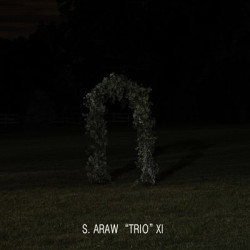 Виниловая пластинка S. Araw "Trio" Xi - Gazebo Effect