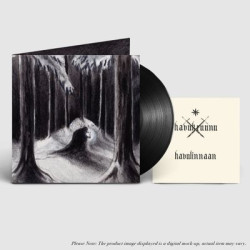 Виниловая пластинка Havukruunu - Havulinnaan